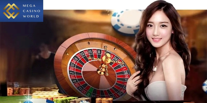 Hướng dẫn đăng ký làm đại lý MCW