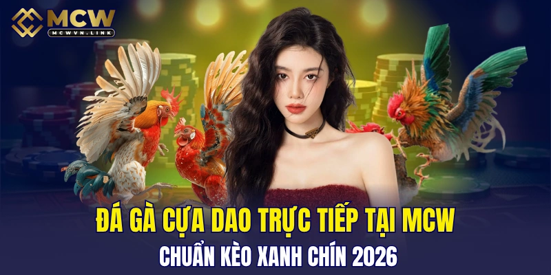 Đá gà cựa dao